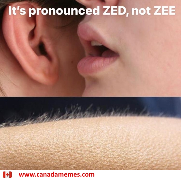 It s Pronounced ZED Not ZEE Canada Memes